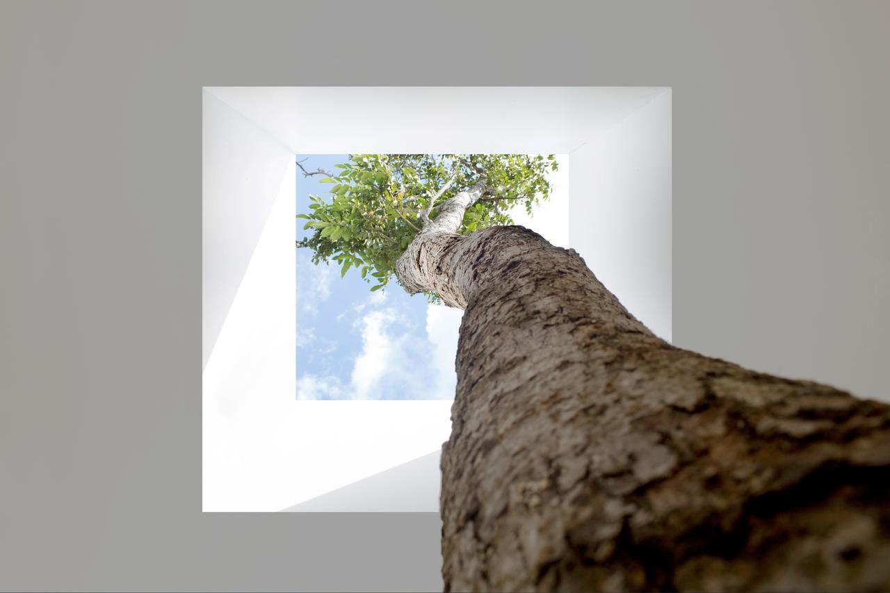 The Secret Pool Villas By The Library Koh Samui Chaweng  Exterior photo